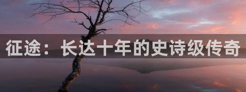 蓝狮子文化创意加好友：征途：长达十年的史诗级传奇