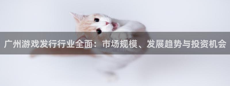 蓝狮技术有限公司怎么样：广州游戏发行行业全面：市场规模、发展趋势与投资机会
