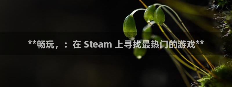 蓝狮集团董事长刘一辰简历：**畅玩，：在 Steam 上寻找最热门的游戏**