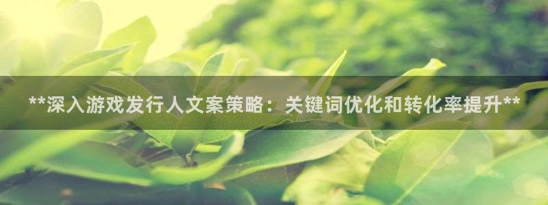 蓝狮在线平台怎么样可靠吗：**深入游戏发行人文案策略：关键词优化和转化率提升**