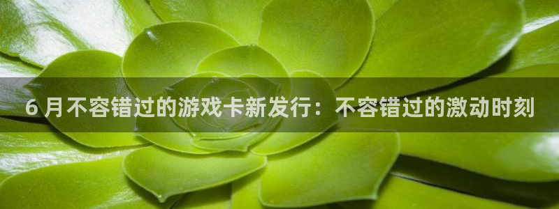 蓝狮在线登录注册不了账号：6 月不容错过的游戏卡新发行：不容错过的激动时刻