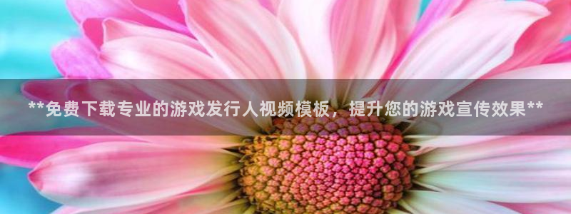蓝狮在线客服怎么样：**免费下载专业的游戏发行人视频模板，提升您的游戏宣传效果**