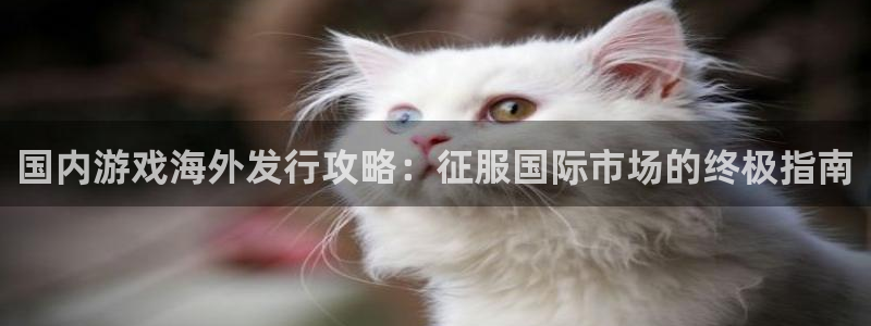 蓝狮子经理人：国内游戏海外发行攻略：征服国际市场的终极指南
