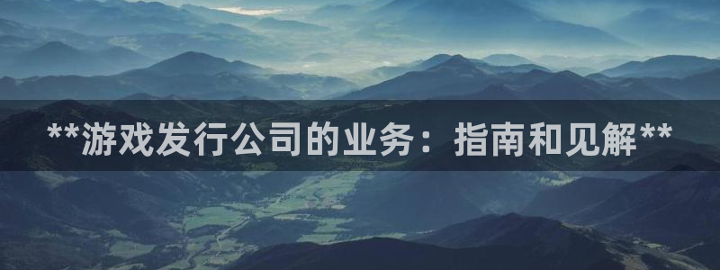蓝狮子财经丛书：**游戏发行公司的业务：指南和见解**