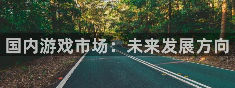 蓝狮酒庄：国内游戏市场：未来发展方向