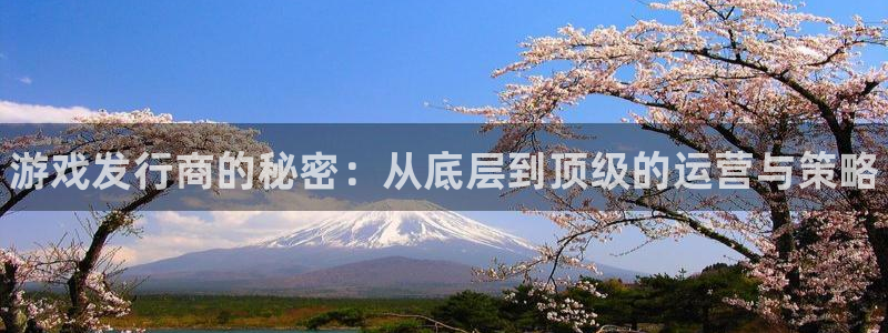 蓝狮电子商务：游戏发行商的秘密：从底层到顶级的运营与策略