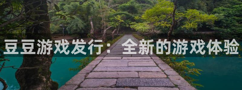 蓝狮的寓意：豆豆游戏发行：全新的游戏体验