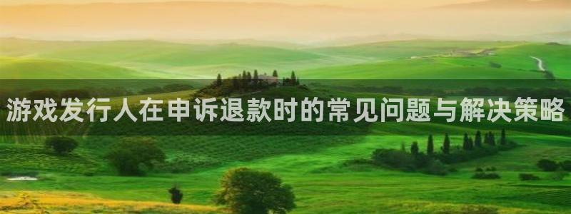 蓝狮品牌设计：游戏发行人在申诉退款时的常见问题与解决策略