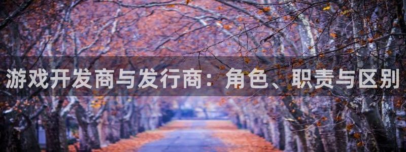 蓝狮在线分红：游戏开发商与发行商：角色、职责与区别