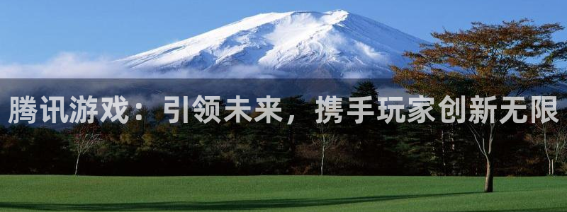 南京蓝狮子电子商务有限公司：腾讯游戏：引领未来，携手玩家创新无限