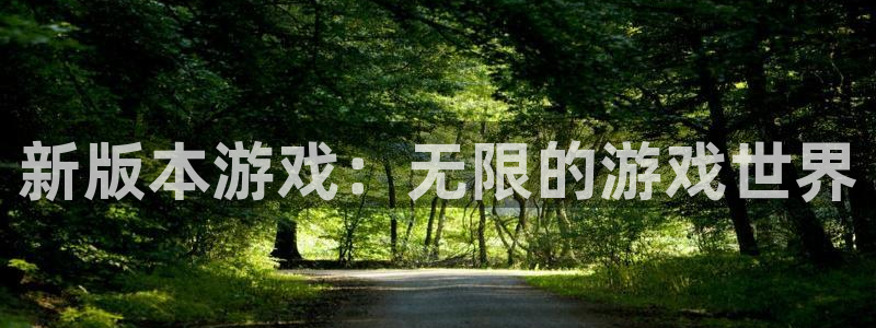 蓝狮在线解绑银行卡：新版本游戏：无限的游戏世界