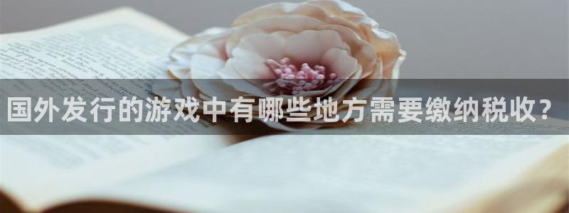 蓝狮在线登录注册失败怎么办：国外发行的游戏中有哪些地方需要缴纳税收？