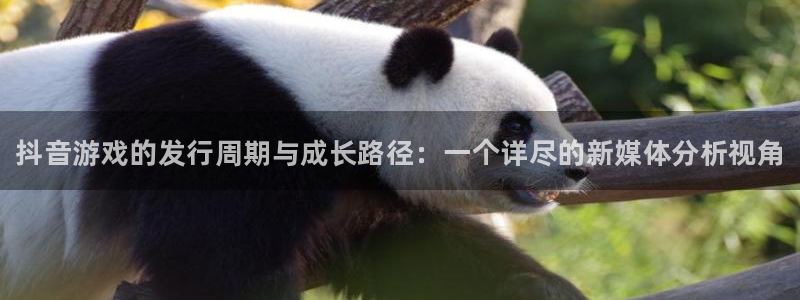 蓝狮子出版社：抖音游戏的发行周期与成长路径：一个详尽的新媒体分析视角